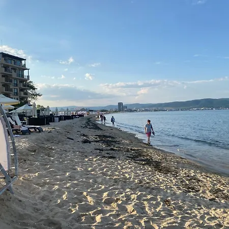 Anita B16 Sunny Солнечный берег